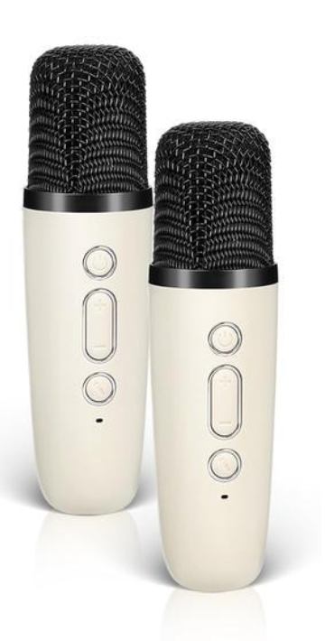 2x Free Microphone